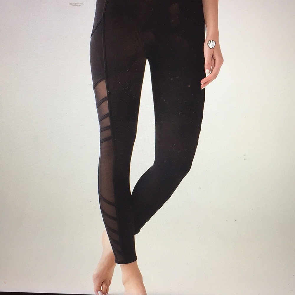 Purple Lulus